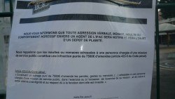 12565530_1554083104904568_496230765681204457_n