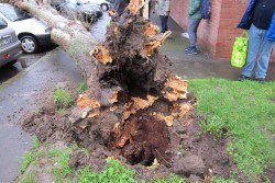 12688333_987897911280818_7512673267937266967_n