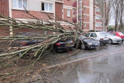 12705584_987897764614166_6195329323382935229_n