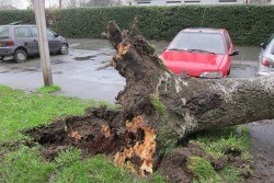 12715596_987897804614162_5592728374869932063_n